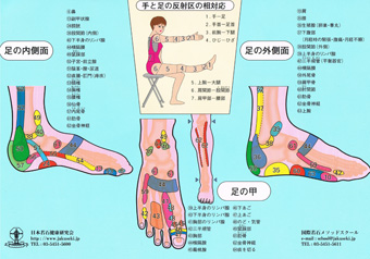 手と足の反射区の相対応